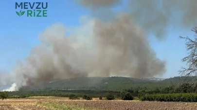 Balıkesir'de Orman Yangını Patlak Verdi: Acil Ekipler Hareke Geçti!