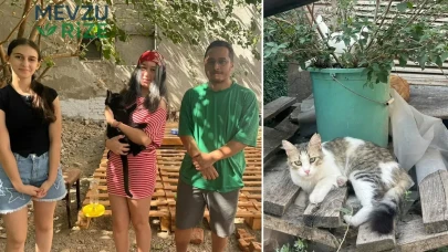Sokak Kedileri İçin 'Mahalle' Projesi: 13 Yaşındaki Bade'den Su ve Mama Desteği