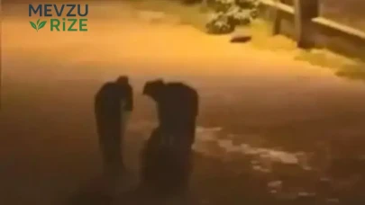 Başakşehir'de Cadde Ortasında Gerçekleşen Silahlı Saldırıda Genç Adam Ağır Yaralandı