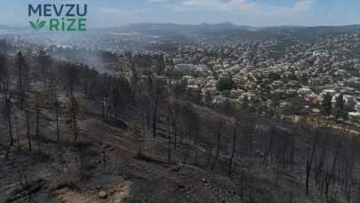 Avrupa’nın İklim Değişikliğiyle Mücadelesinin Maliyeti: 822 Milyar Euro