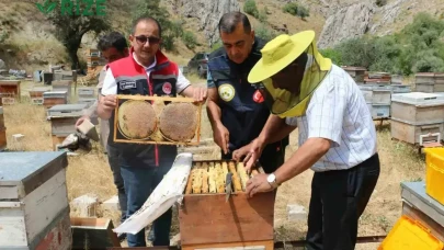 Arıcıların Sabırsızlıkla Beklediği An: Erzincan'da Bal Hasadı Start Aldı, Hedef 1.500 Ton!