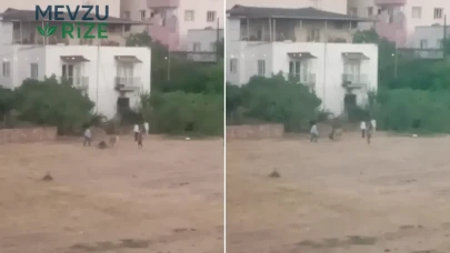 Gercüş'te Kaçan İnek, Sahibinin Yaralanmasına Sebep Oldu!