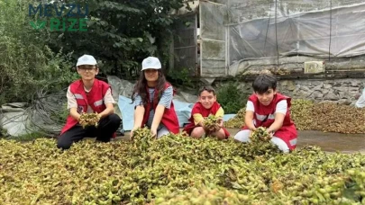 Trabzon'da Gençler, Fındık Bahçesinde Organik Tarım Tekniklerini Keşfetti!