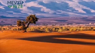 Batı Afrika için iklim krizi uyarısı : 32 milyon kişi yerinden edilebilir