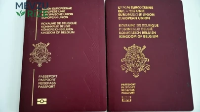 Belçika'da Zam Başvuruları Dramatiik Şekilde Düşüyor: Vatandaşlık Talepleri Yüzde 50 Oranında Azaldı