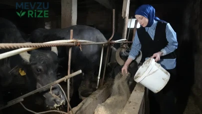 Atama Beklerken Çiftlik Açtı: Artık Siparişleri Karşılamakta Zorlanıyor!