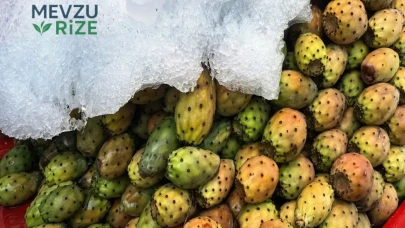 Serinletici 'Dikenli İncir'e Talepler Patladı!