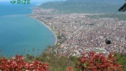 Ordu'da Ot Kültürü: Karadeniz'in Tarihsel Hazinesi Ortaya Çıkıyor!