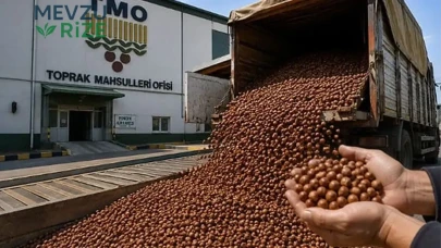 TMO'dan Fındık Üreticilerine Müjde: Beklenen Destek Açıklandı!