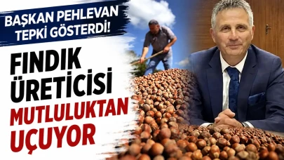 Başkan Pehlevan'dan Çarpıcı Açıklama! Fındık Üreticileri Sevinçten Uçuşa Geçti!
