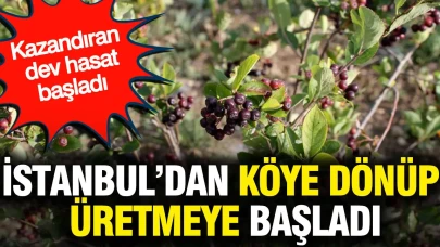 İstanbul'dan Yuva Yapıp Tarıma Yönelen Girişimci, Bereketli Hasatla Kazancını Artırdı!