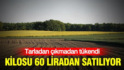 Tarladan sofraya ulaşmadan yok oldu: Fiyatı 60 liraya yükseldi!