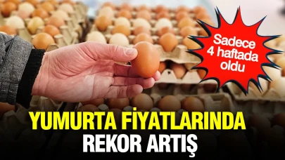Yumurta fiyatları dört haftada tarihi zirveye ulaştı!