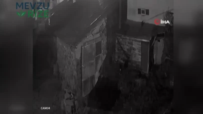Açlık peşindeki kurt, köyde paniğe neden oldu: Köpeği hedef alarak ortalıktan yok oldu!