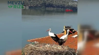 Yaren Leylek ve Eşi Nazlı, Yeni Hayatlarına 'Merhaba' Dedi!