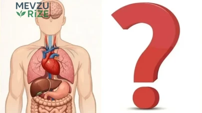 Vücudunuzun Verdiği Sinyallere Kulak Vermek: Hangi Belirtiler Önemli?