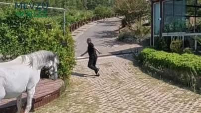 Klip çekimi kabusa dönüyordu: Osmaniye'deüzerine gelen atı fark eden adam son anda kurtuldu