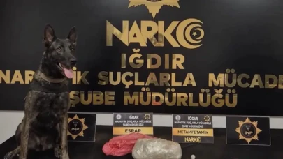 Iğdır'da Uyuşturucu Operasyonu: İki Şüpheli Sevkiyat Nedeniyle Gözaltına Alındı ve Tutuklandı