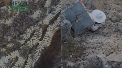 Ayılardan korumak için kovanları uçuruma sarkıttılar: İşte aylarca süren bekleyişin sonucu
