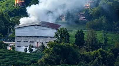 Çayeli’ndeki Çay Fabrikasında Yangın: Çalışanlar Dumandan Etkilendi