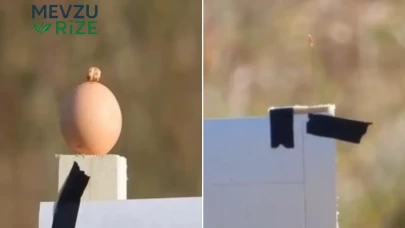 Erzurum'da "Gazi Sniper"ın oğlu 100 metre uzaklıktan buğdayi iğneyle hedef almayı başardı!
