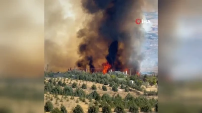 Ankara Gölbaşı'nda orman yangını: Havadan ve karadan müdahale
