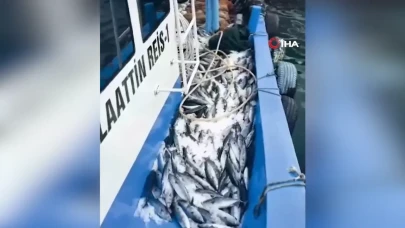 Bartın'da palamut sürüsü ağları doldurdu: Bir gecede iki bin palamut