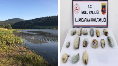 Bolu'da gölette kaçak avcılık denetimi : 22,5 metre ağ ele geçirildi