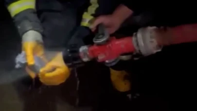 Yangında alevlerin arasında kalan kedi yavrusu, itfaiye erlerinin şefkat eliyle hayata tutundu