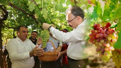 Dalından Avusturya’ya yolculuk: Tayfi üzüm hasadı başladı