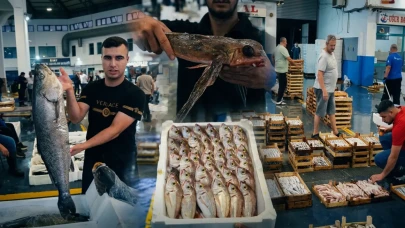 Ege'de deniz adeta balık fışkırdı! 2005'ten bu yana böylesi görülmedi: Tezgahlar şenlenecek