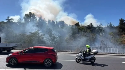 İstanbul'da Açık Alan Yangını Paniğe Neden Oldu