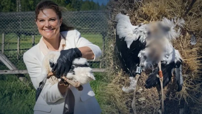 İsveç Veliaht Prensesi yollamıştı: 9 ülke geçen leylek Karaman'da ölü bulundu