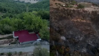 Kozan'daki Yangın, Yeşil Ormanı Küllere Çevirdi!