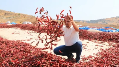 Kurusu ve salçasıyla damakları şenlendiren bu lezzet, 19 farklı fabrikaya ulaşıyor!