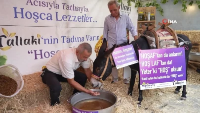 Manisa Saruhanlı Festivali'nde eşeğe hoşaf içirmeye çalıştılar