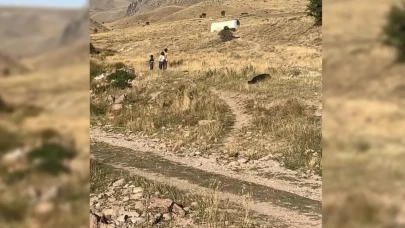 Minik Büşra'nın kanlı kıyafetleri bulunmuştu... Anneden korkunç itiraf: Bebeği sattık