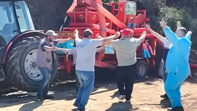 Ordu'da fındık bitti, harmanda şenlik başladı: Hasadı bitiren aile yorgunluğunu böyle attı