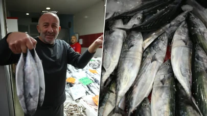 Tezgahlarda palamut izdihamı: Tanesi 50 liraya kadar düştü