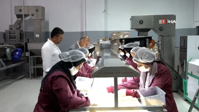 Sakarya'da tüm köyün ortak olduğu fabrikada fındık üretiliyor