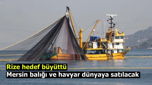 Rize hedef büyüttü: Mersin balığı ve havyar dünyaya satılacak
