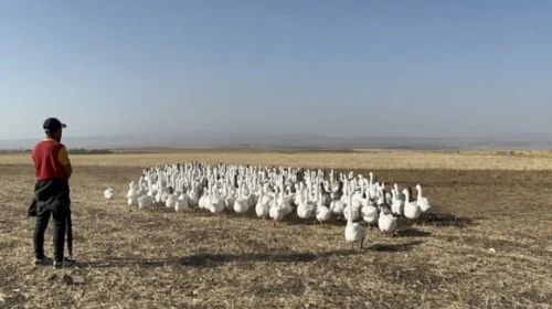 Kars'ta Yaşamı Değiştiren Başarı: 500 ile Başladı, 1400'e Ulaştı!