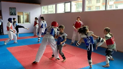 Hopa'da Amatör Spor Haftası'nda Taekwondo Gösterisi ile Gençler Yeteneklerini Sergiledi