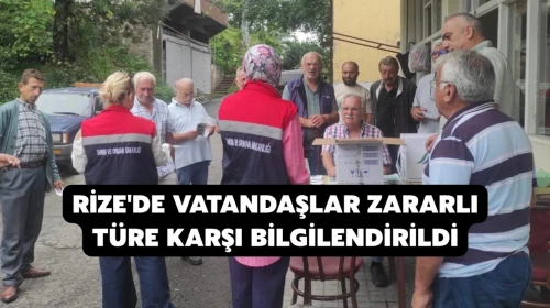 Kahverengi Kokarca Zararlısıyla Mücadele İçin Eylem Planı Başlatıldı
