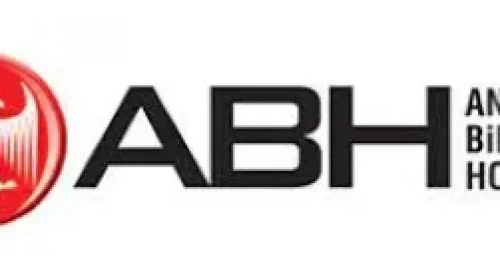 Anadolu Birlik Holding: Sahibi, Yapısı ve Vizyonu Üzerine Detaylı İnceleme