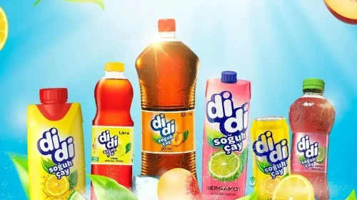 Didi Hakkında Cüretkar Bir Soru: Boykot Yapılmalı Mı? Didi'nin Sahibi Kim, Hangi Ülkenin Malı ve Yerli Mi?