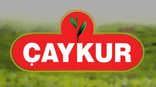 ÇAYKUR, 2025 Ekim yaş çay ödemelerini üreticilere aktardı, çekim tarihi 29 Kasım!
