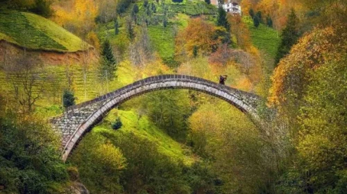 Rize Hakkında İlginç Bilgiler