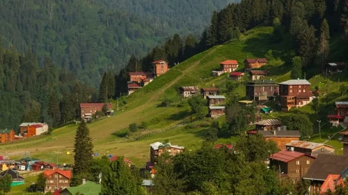 Beşerî Durum ve Ekonomi