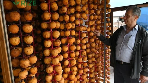 Trabzon hurmasını kurutarak gelirini iki kat artırdı, hedefi toptan satış yapmak!